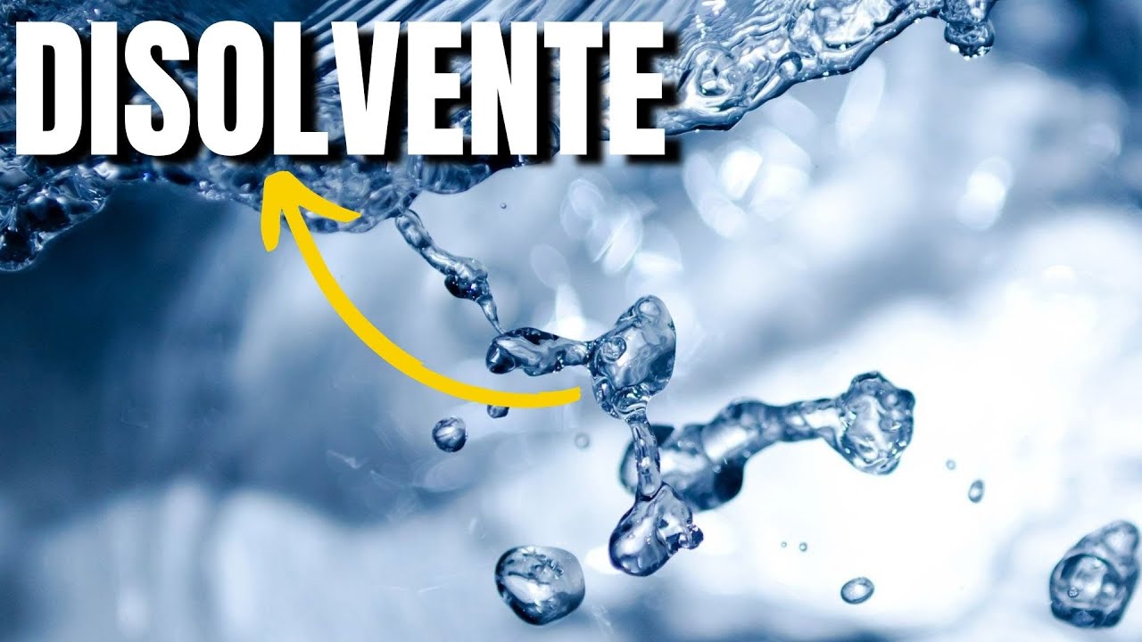 que tipo de solvente es el agua
