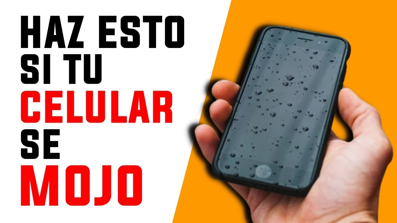 se me cayo mi celular al agua