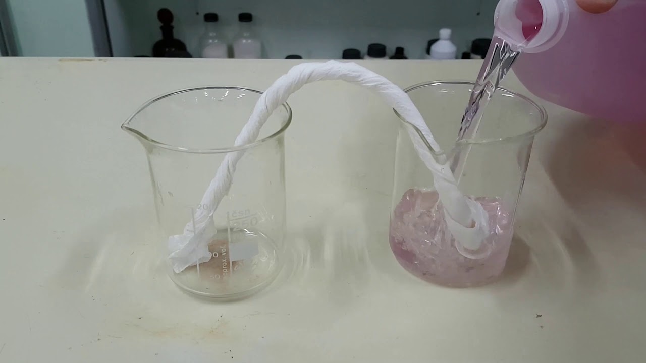 absorcion de agua por capilaridad