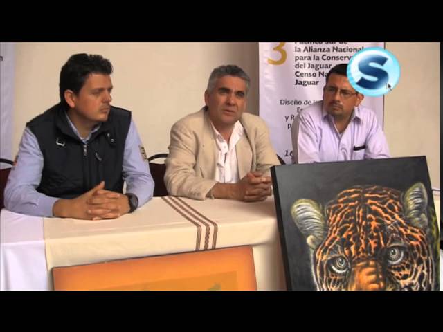 acciones para conservar el jaguar