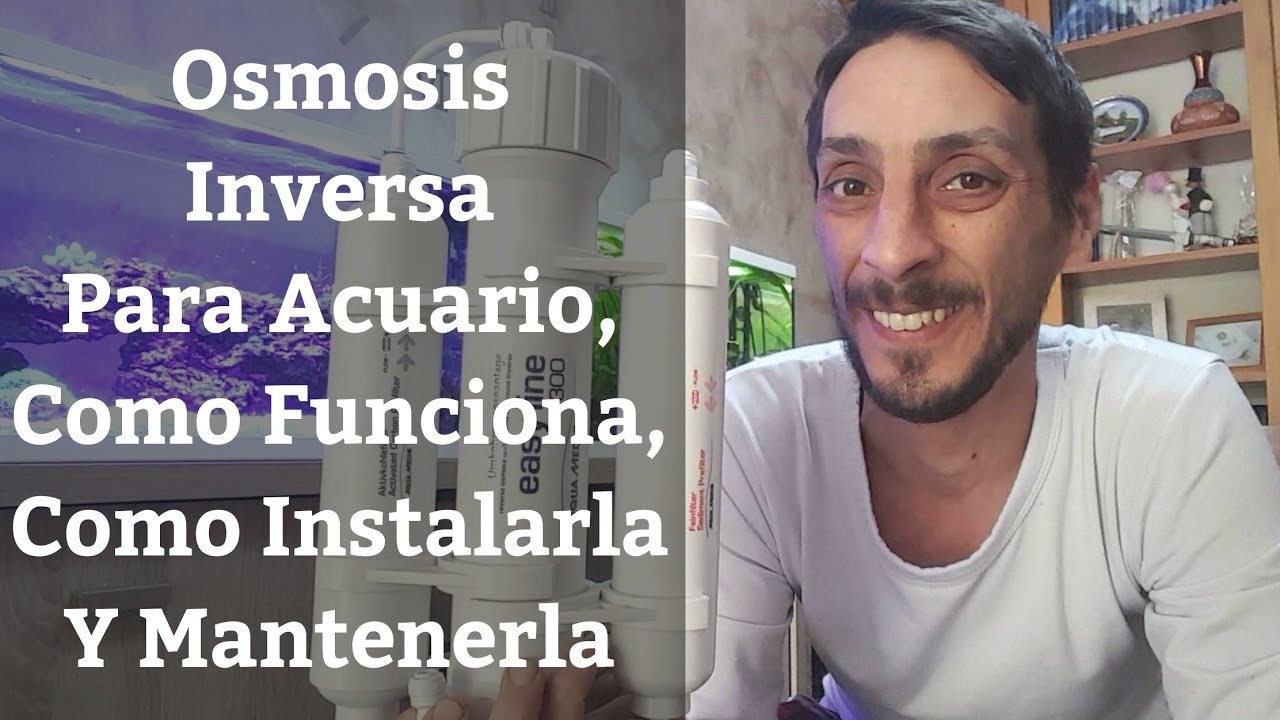 agua de osmosis inversa para acuarios