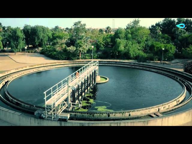 aguas de valencia cambio de titular