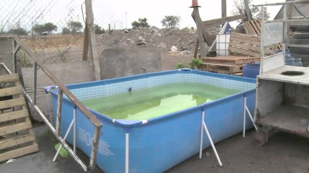 alfredo zolezzi purificador de agua