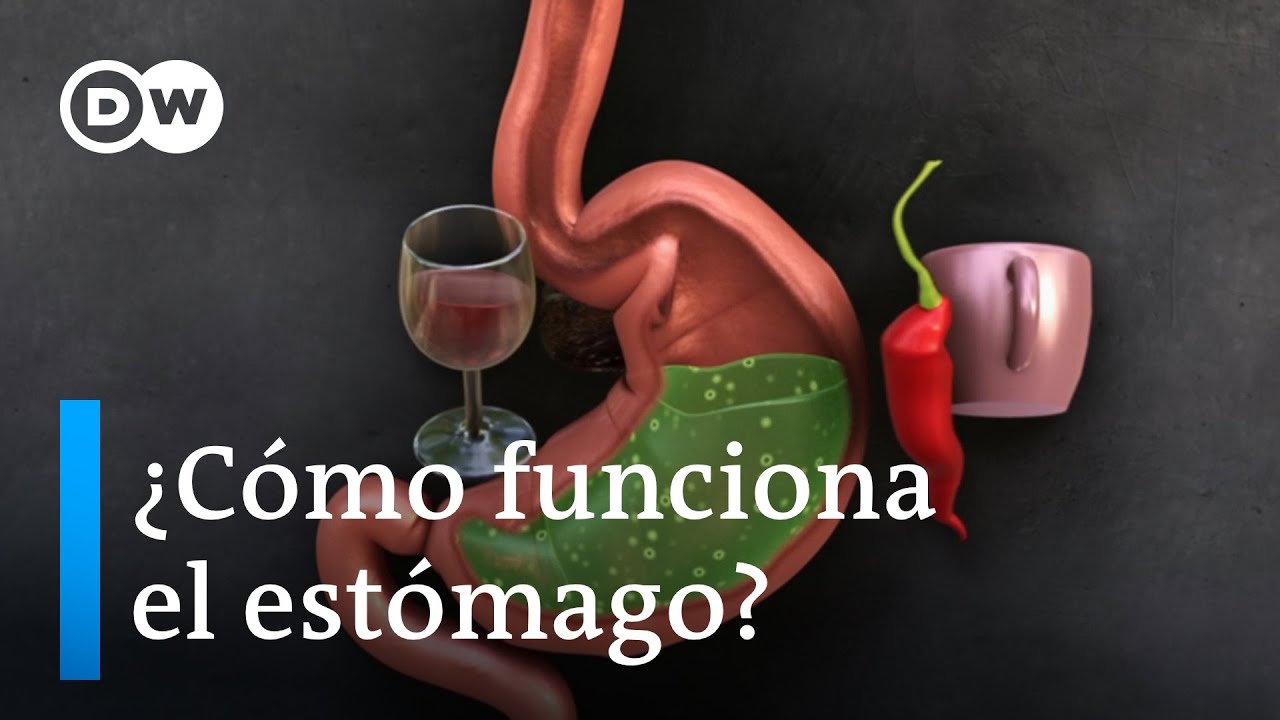 alimentos que se disuelven en el agua