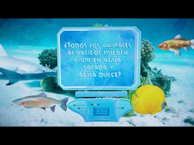 animales de agua dulce y agua salada