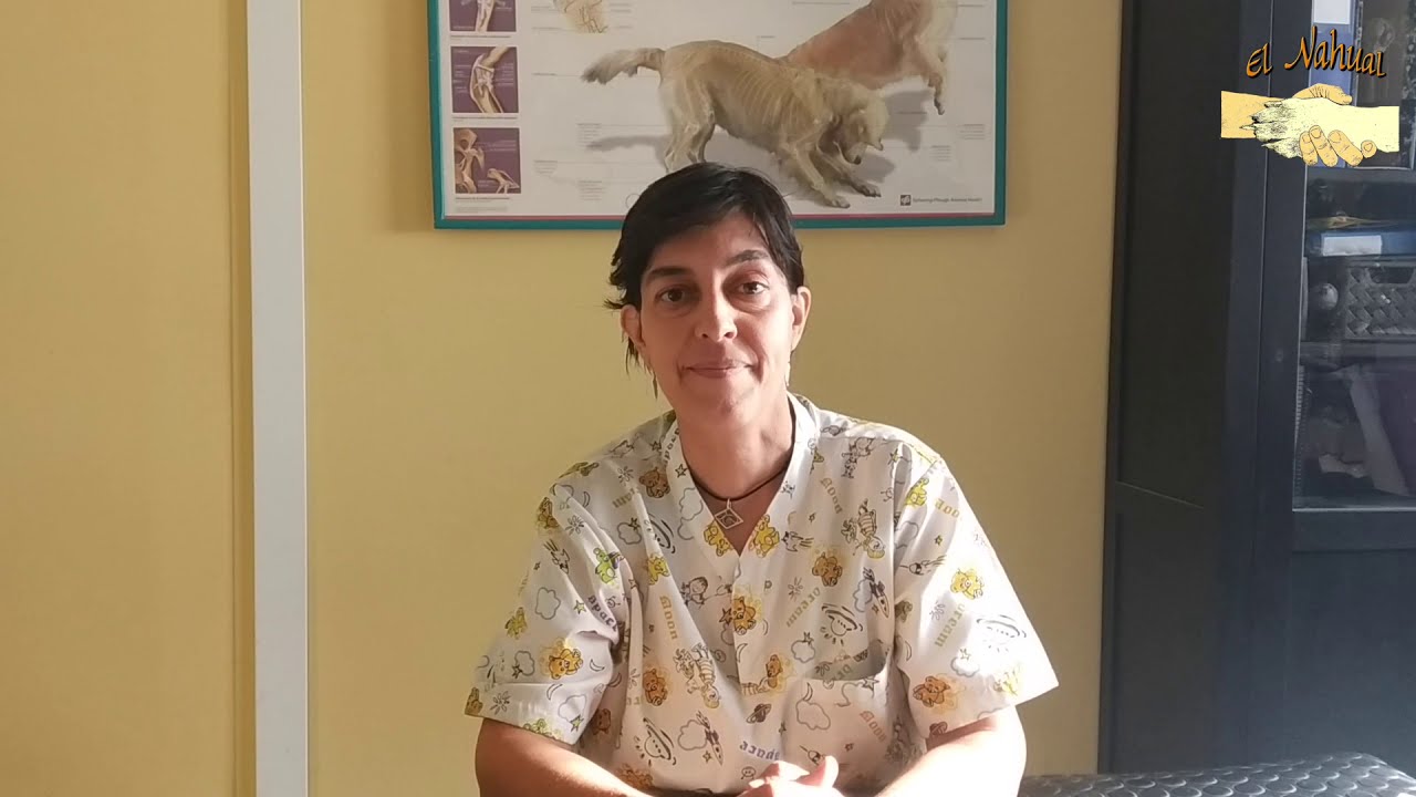 beneficios del agua en los animales