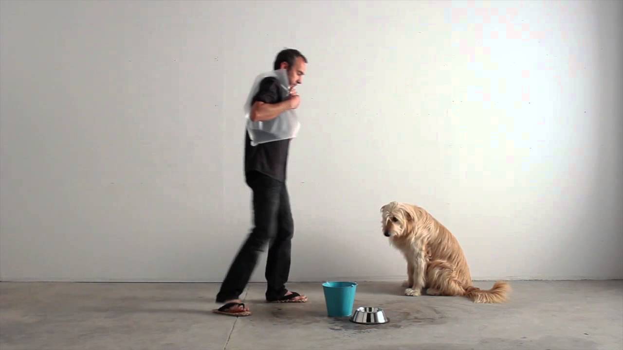 bolsa para ahorrar agua en la ducha