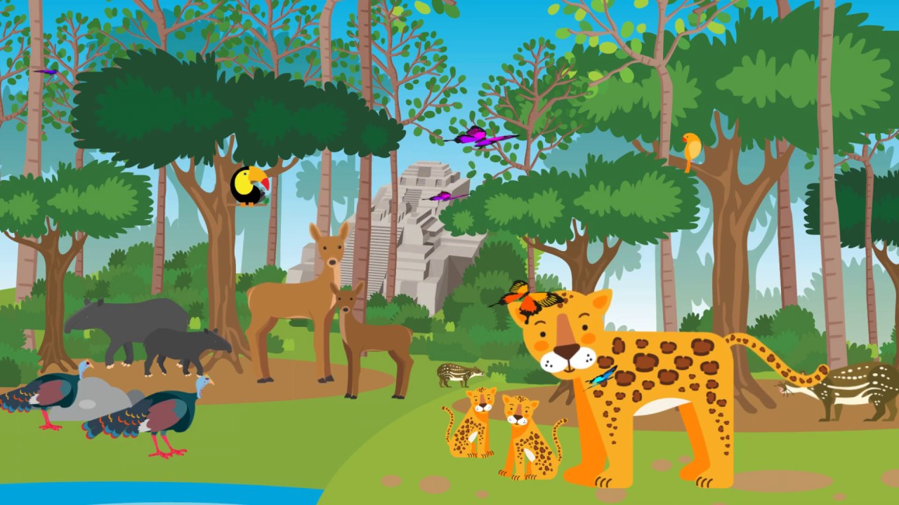 caracteristicas del jaguar para niños