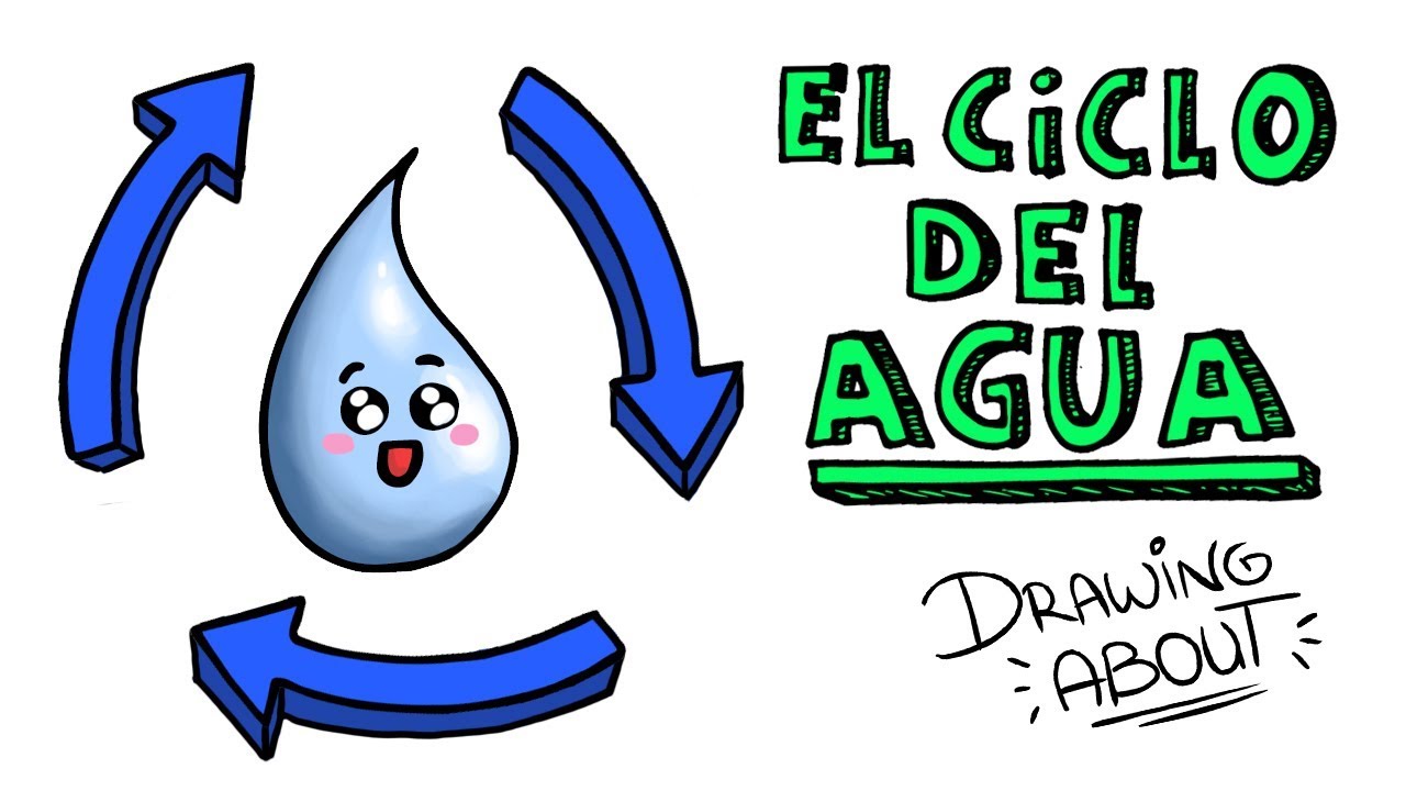 ciclo del agua esquema y explicacion