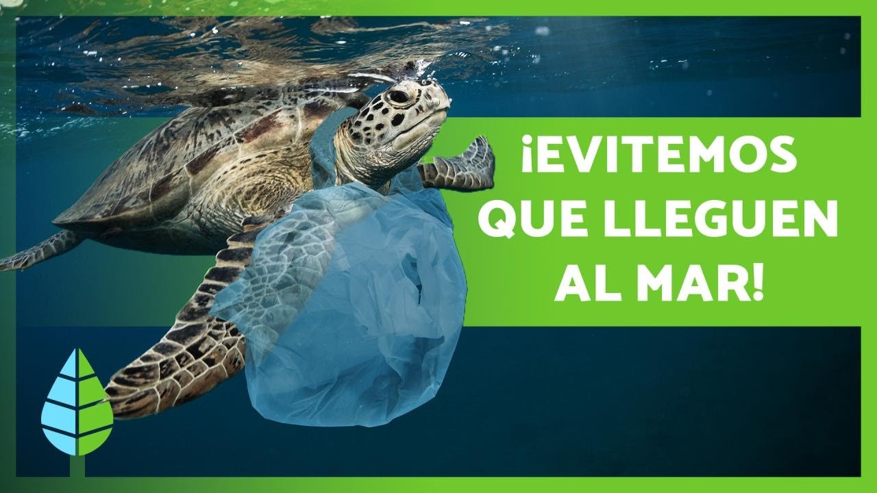 como contamina el plastico al agua
