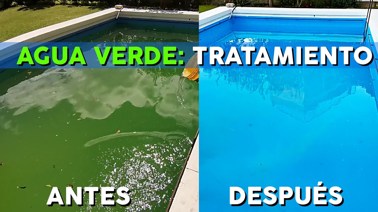 como limpiar el agua de una alberca