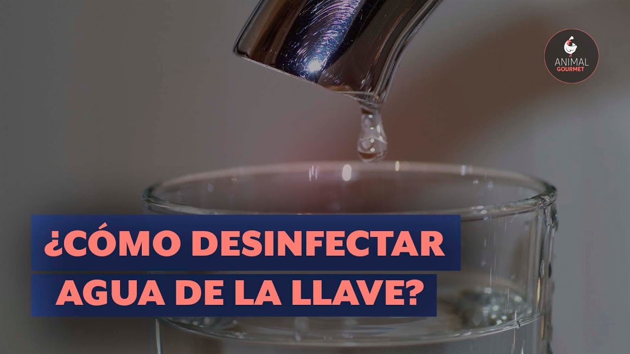 como purificar el agua de la llave