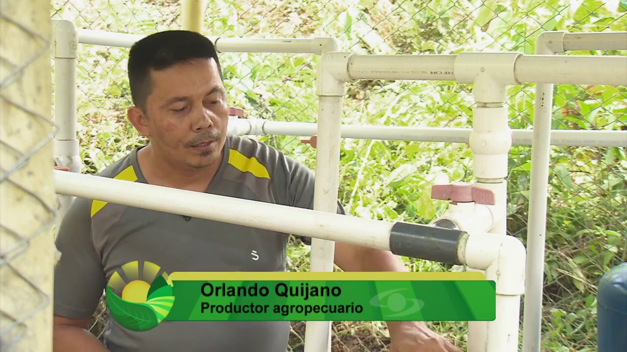 como purificar el agua de un aljibe