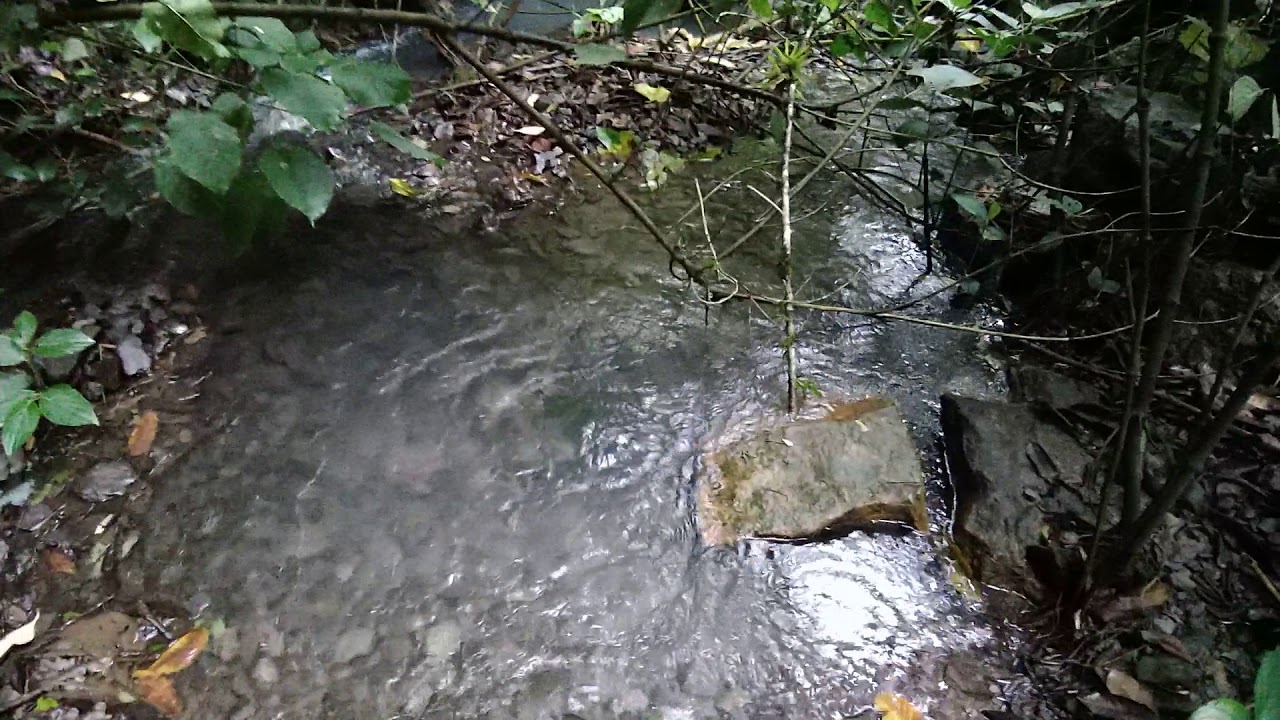 como sale el agua de las montañas