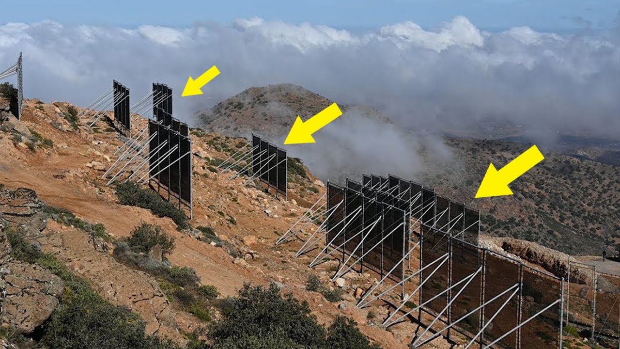 como se adapta el agua en el desierto
