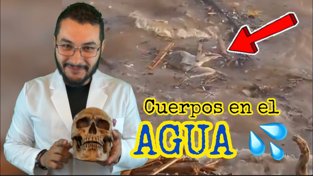conservacion de los cuerpos de agua