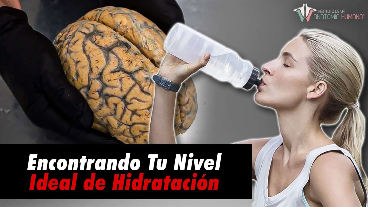 consumo de agua en el cuerpo humano