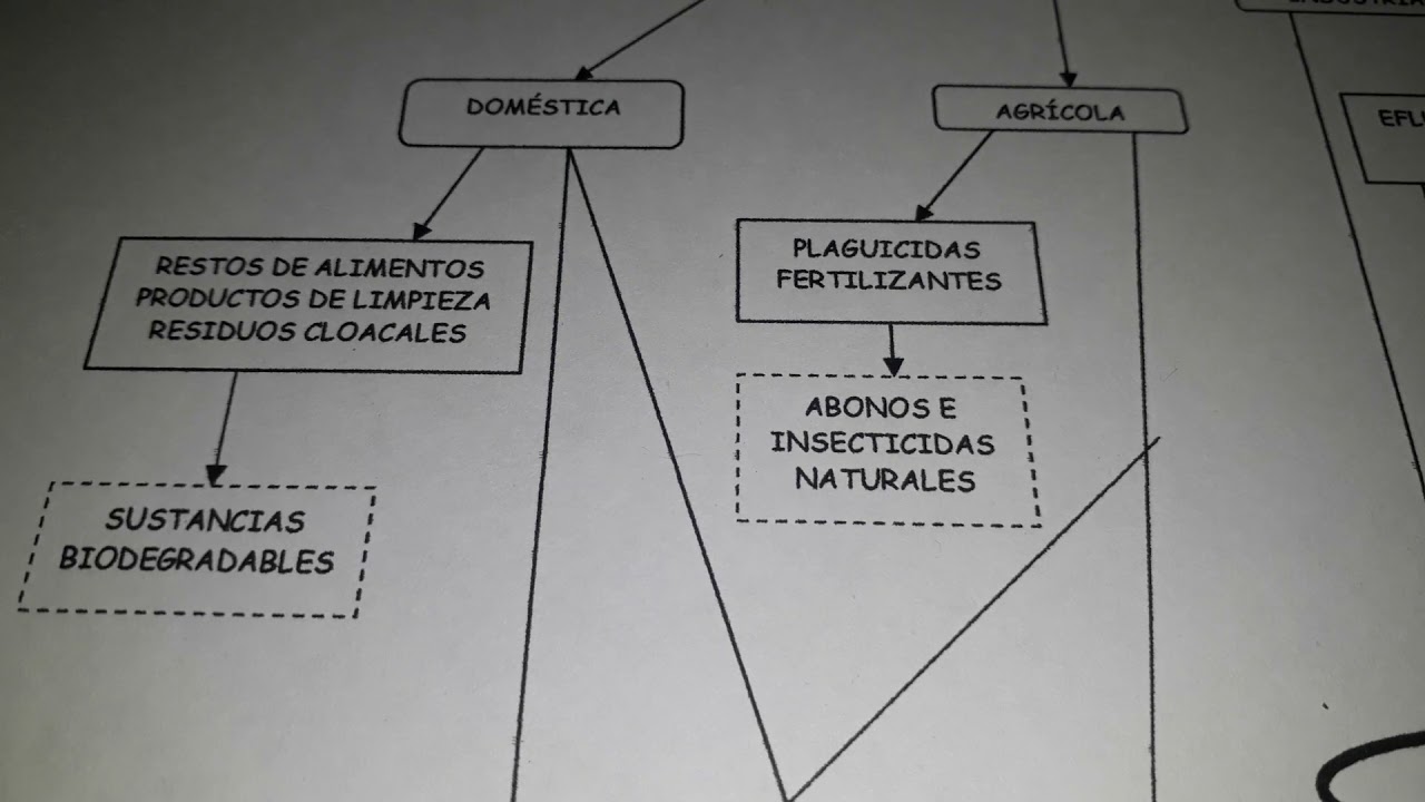 cuadro sinoptico del agua contaminada