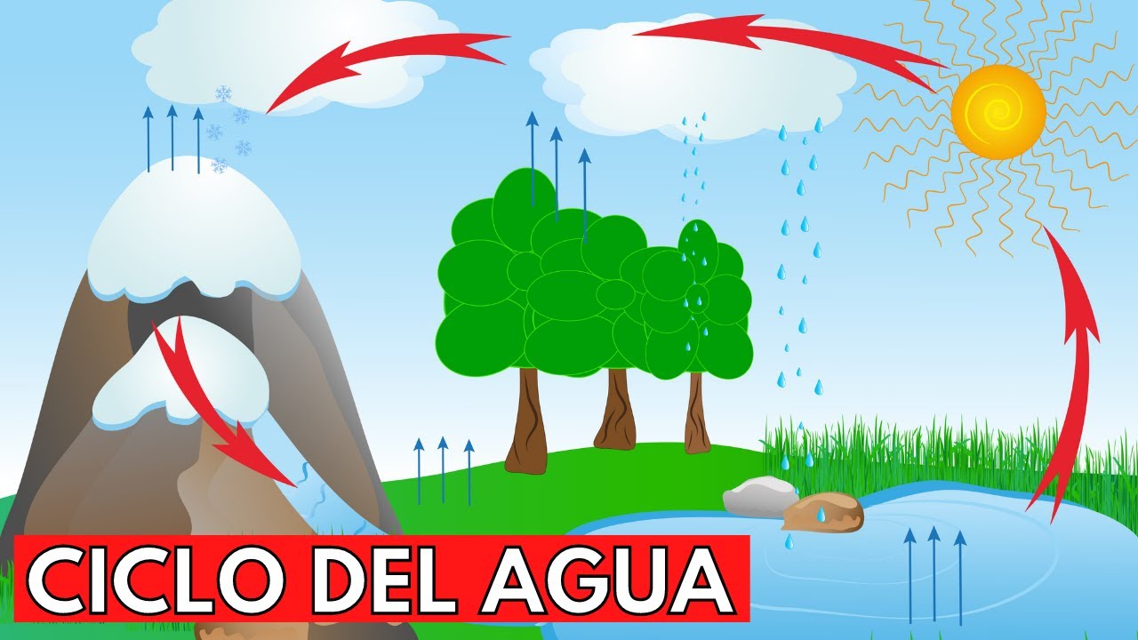 cual es el ciclo natural del agua