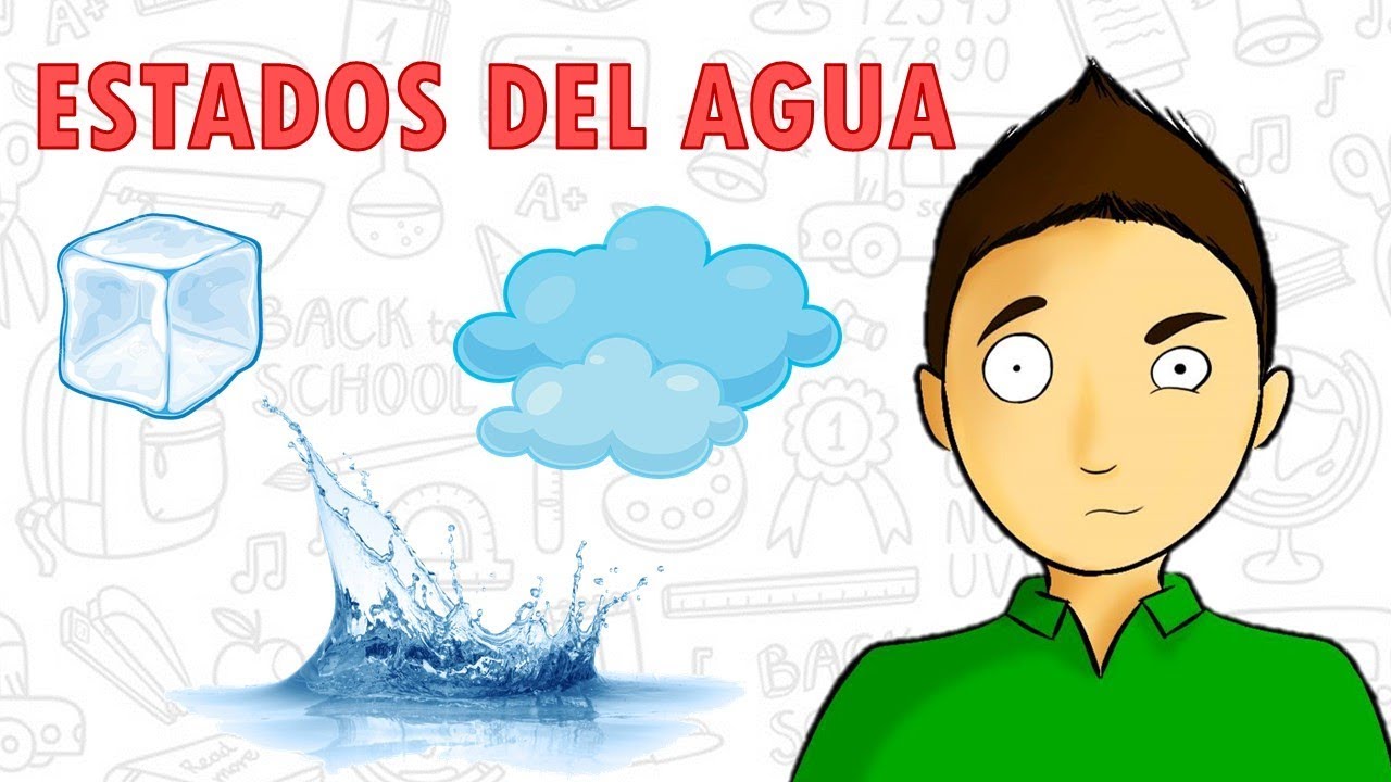 cuales son las estaciones del agua