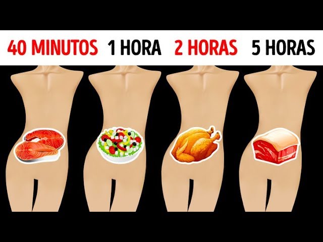 cuanto tarda en digerirse el agua
