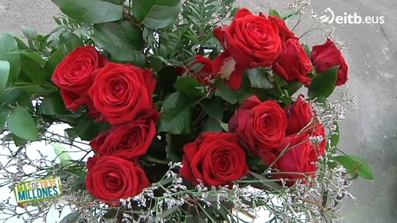 cuanto tiempo dura una rosa sin agua