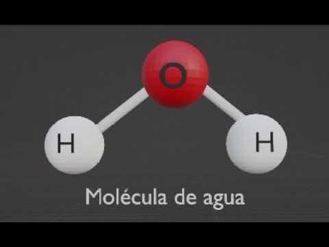 disociacion de la molecula de agua
