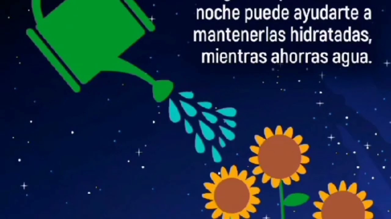 disponibilidad del agua en méxico