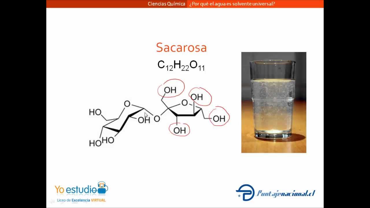 el agua como disolvente universal