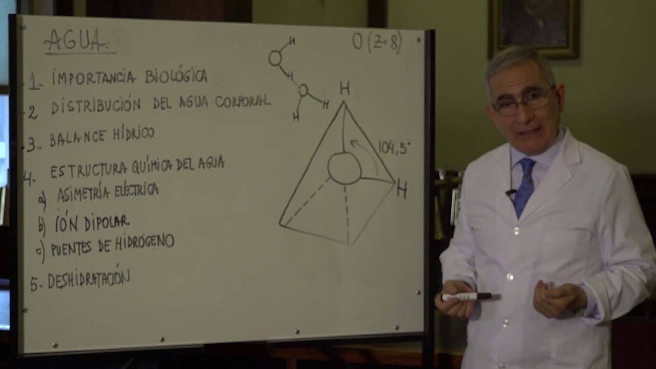 el agua en los alimentos bioquimica