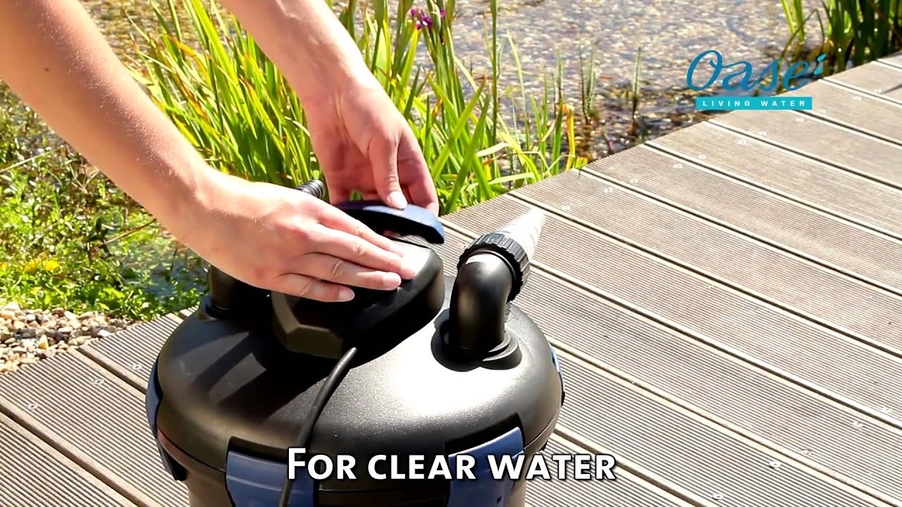 filtro natural de agua para estanque