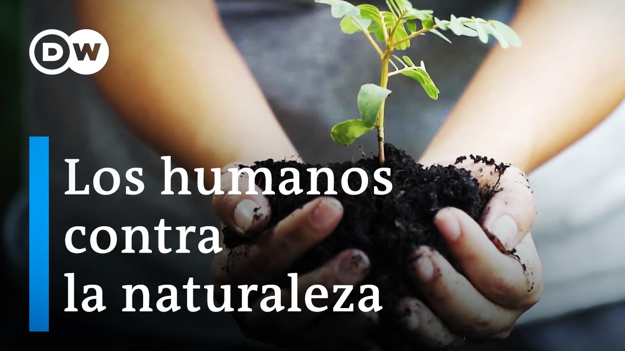 hay escasez de agua casi todo el año