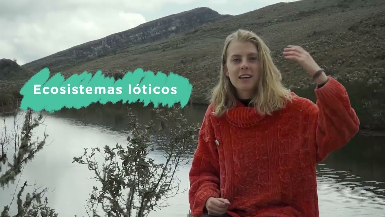 importancia de las aguas lenticas