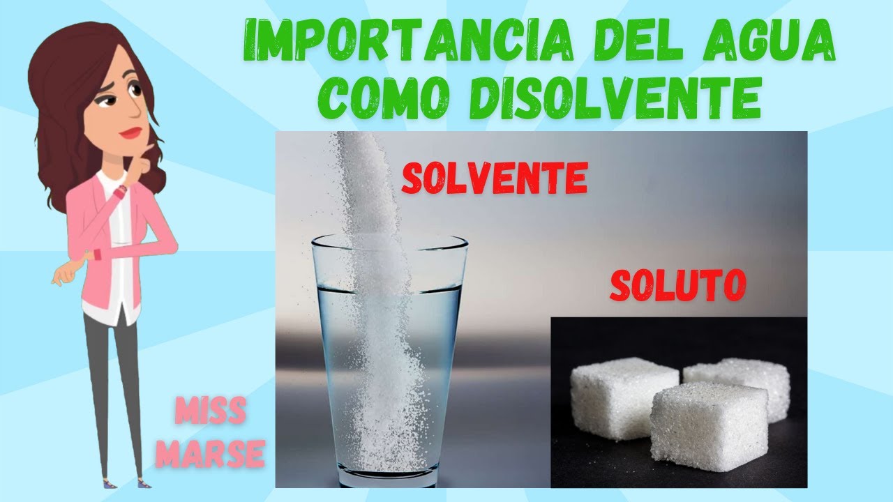 importancia del agua como disolvente