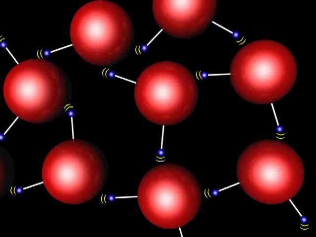 la importancia biológica del agua