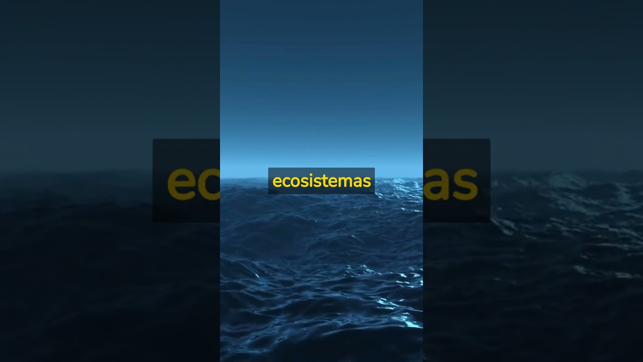 moderador de temperatura del agua