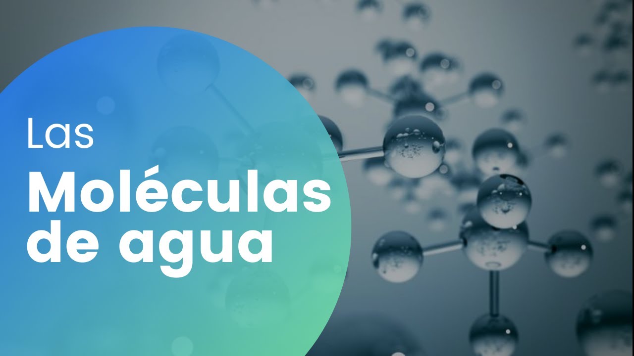 moleculas de agua en estado liquido