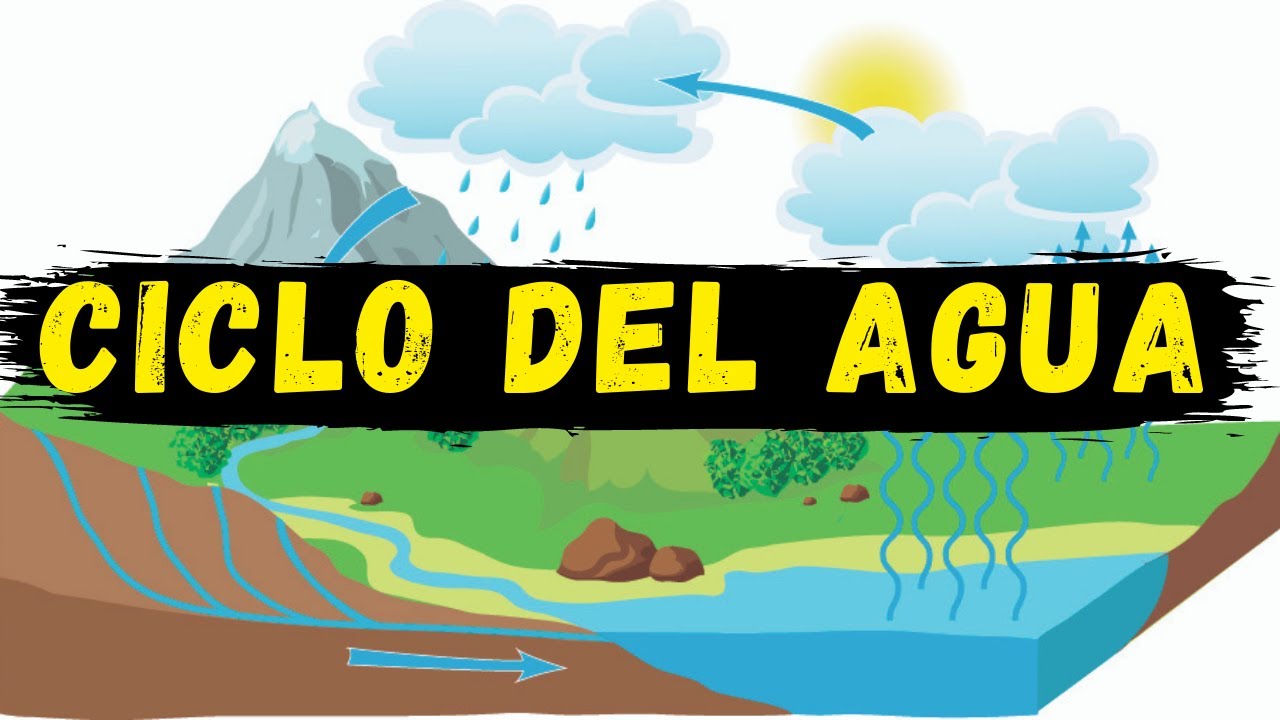nombre del ciclo cambiante del agua