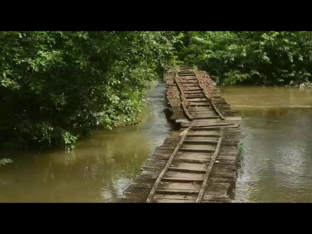 organizaciones que protegen el agua
