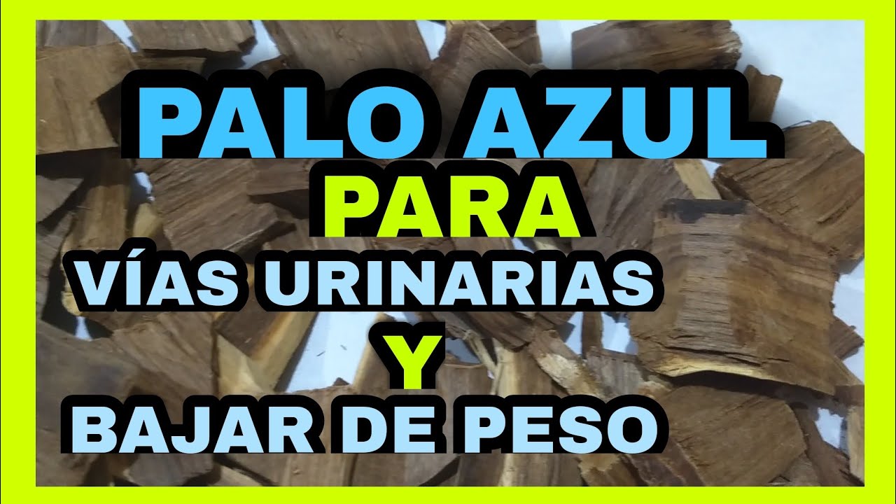 para que sirve el palo azul en agua