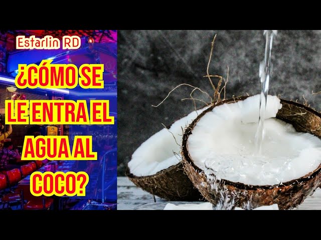 por donde le entra el agua al coco