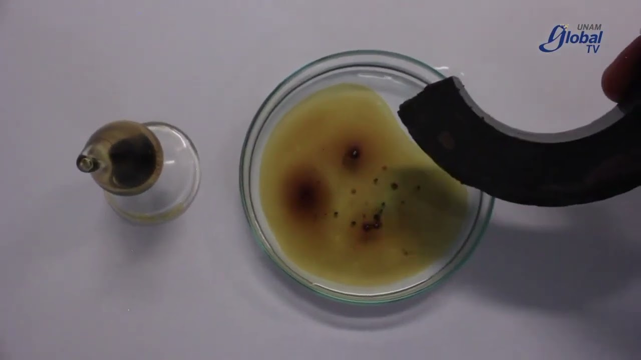 proyectos para descontaminar el agua