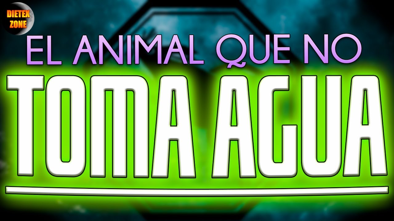 que animal no necesita beber agua