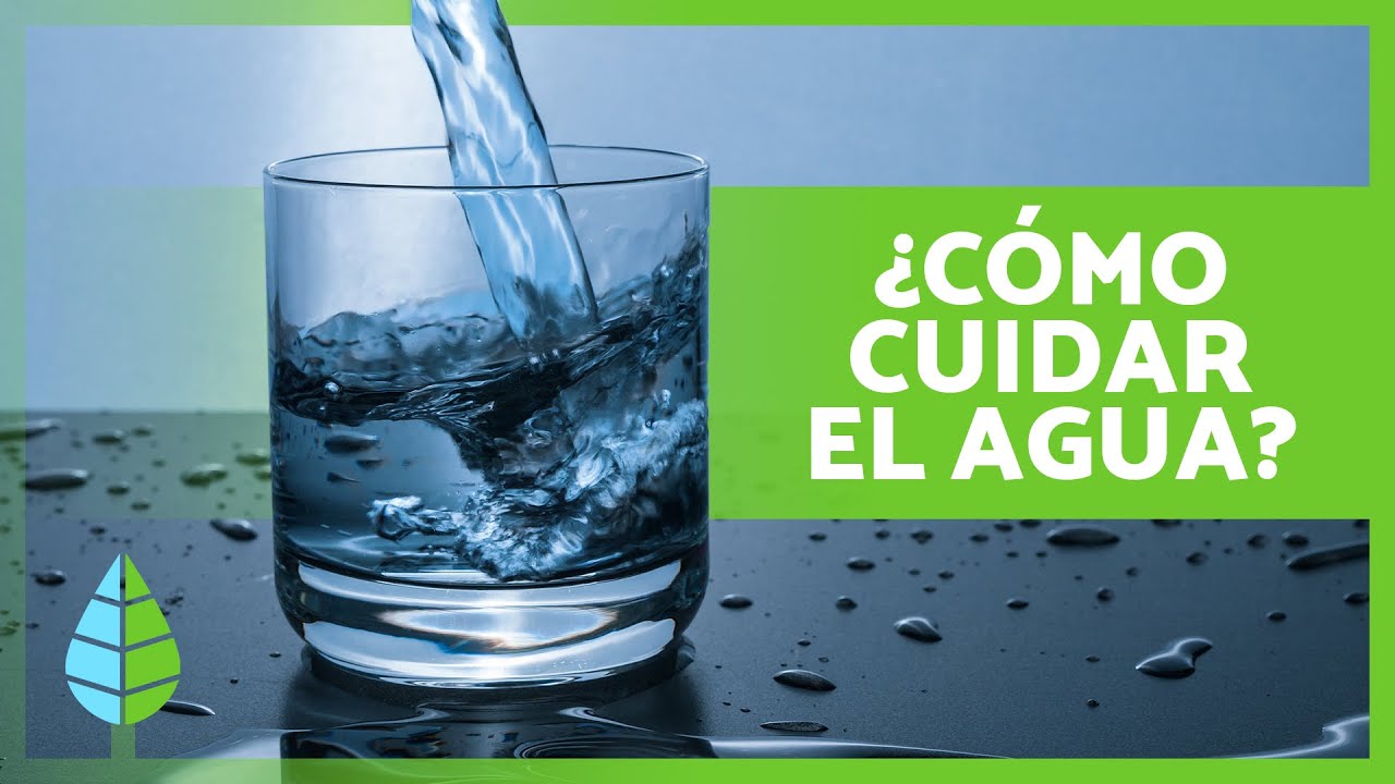 recomendaciones para cuidar el agua