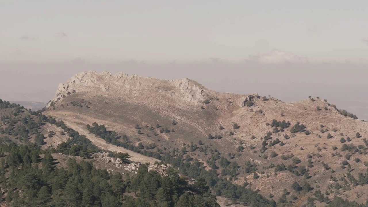 sierra del agua paterna del madera