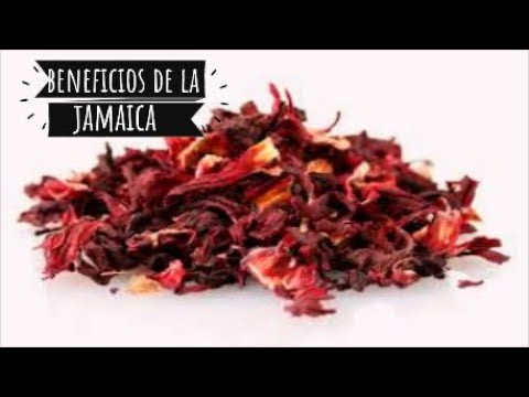 agua de jamaica beneficios y desventajas