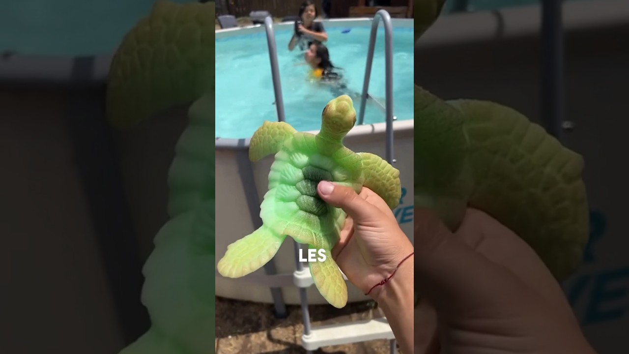 animales que crecen en el agua gigantes
