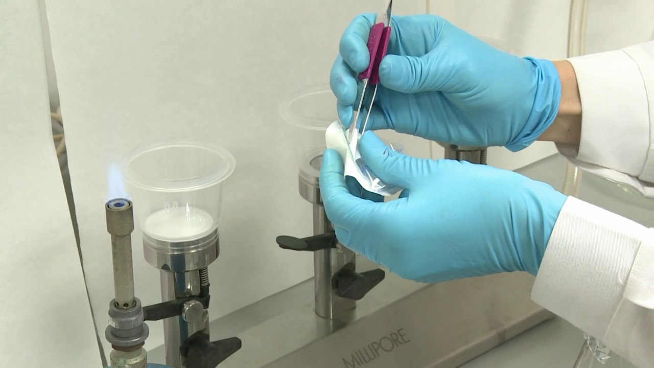 bacterias coliformes en agua de consumo