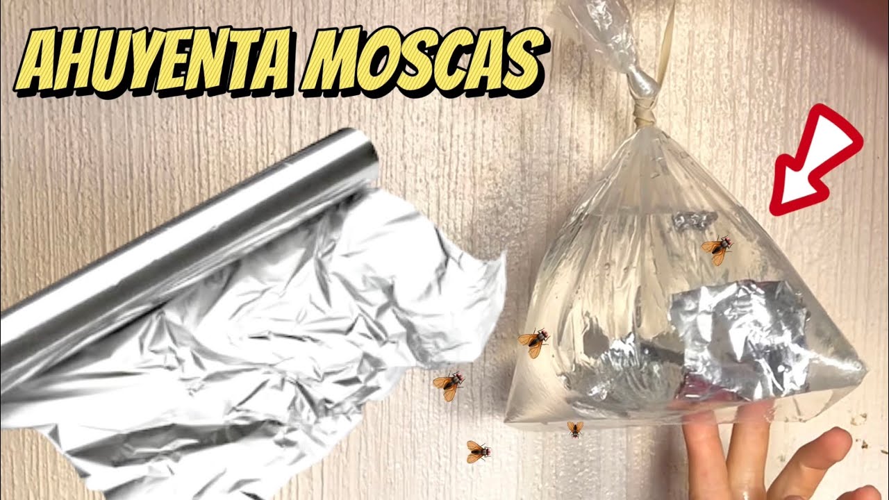 bolsa de plastico con agua para moscas