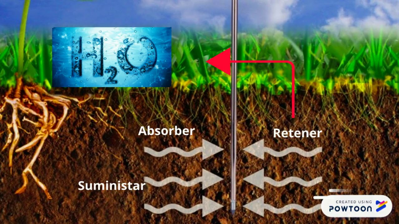 capacidad de retencion de agua del suelo
